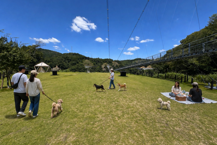 GODAブリッジを望む芝生広場でピクニックを楽しむ人と犬