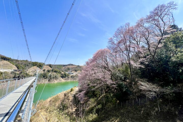 拍照点 照片 E-1（横向）